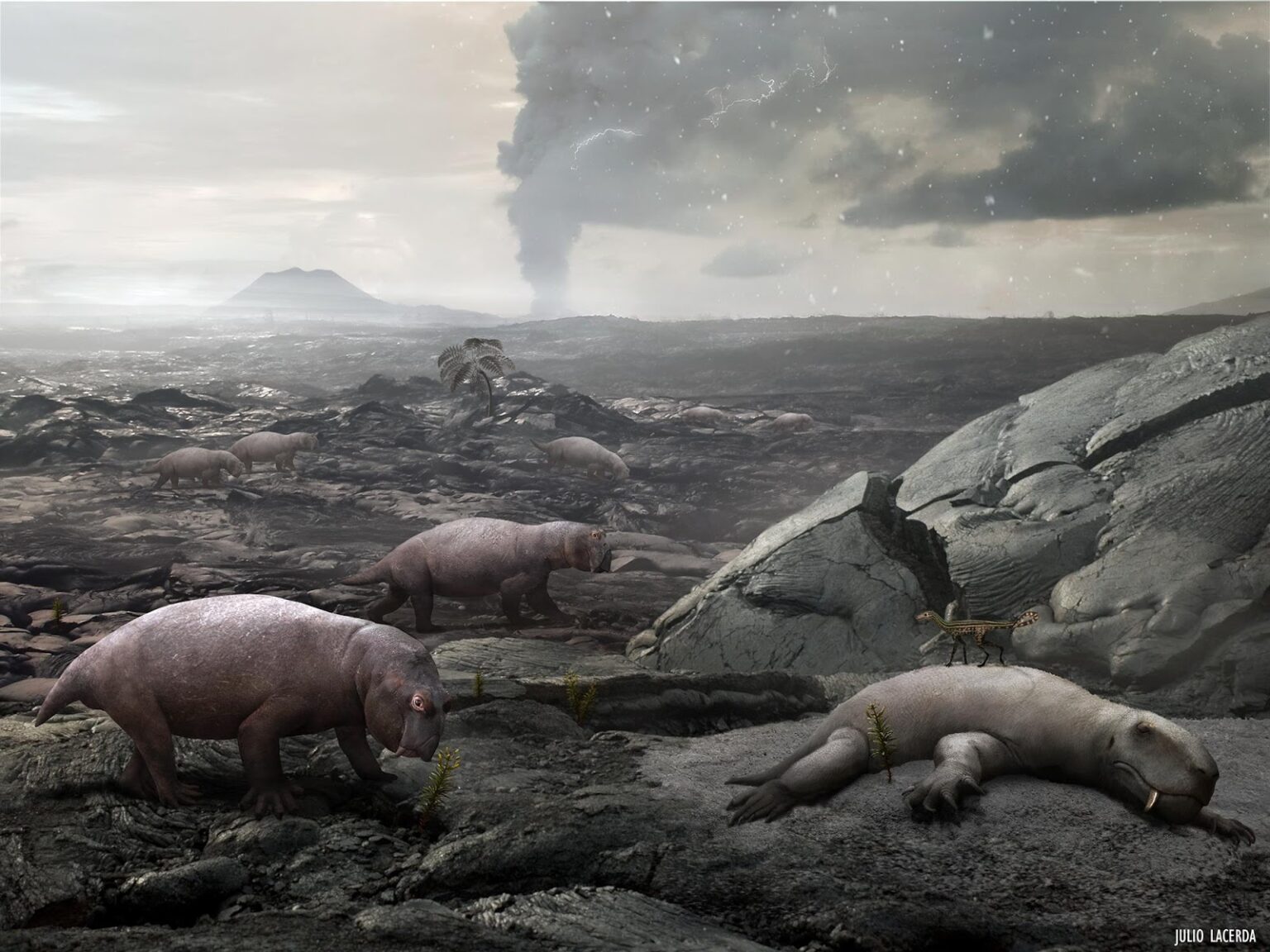 Permian Triassic Mass Extinction Deep Ecology Org Au