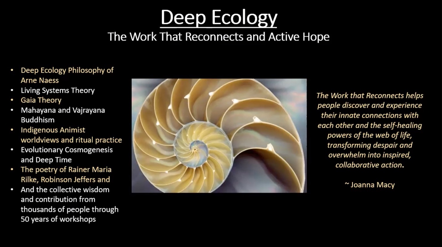 deep-ecology-online-week-1-introduction-deep-ecology-au